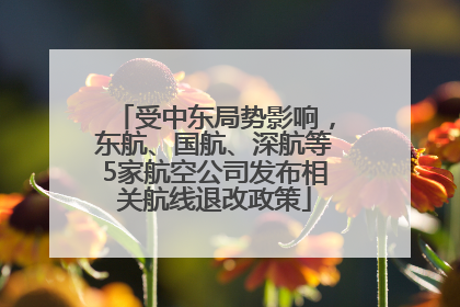 受中东局势影响，东航、国航、深航等5家航空公司发布相关航线退改政策