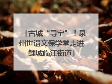古城“寻宝”！泉州世遗文保学堂走进鲤城临江街道