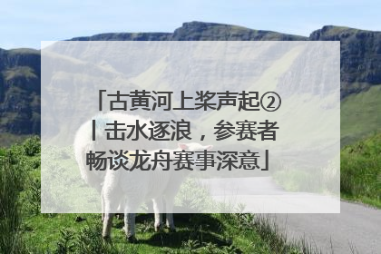 古黄河上桨声起②丨击水逐浪，参赛者畅谈龙舟赛事深意