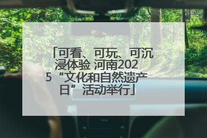 可看、可玩、可沉浸体验 河南2025“文化和自然遗产日”活动举行