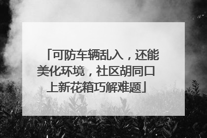 可防车辆乱入，还能美化环境，社区胡同口上新花箱巧解难题