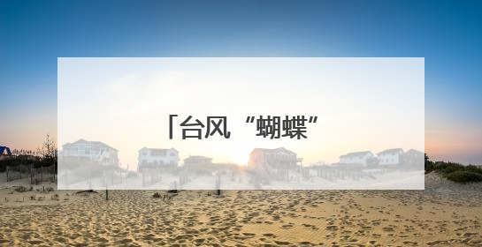 台风“蝴蝶”来袭，三亚部分商户暂时停业