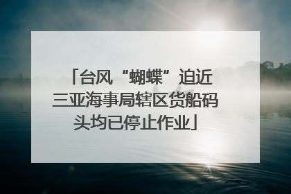 台风“蝴蝶”迫近 三亚海事局辖区货船码头均已停止作业