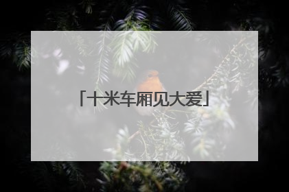 十米车厢见大爱