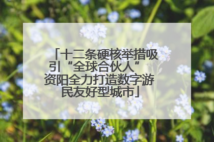 十二条硬核举措吸引“全球合伙人” 资阳全力打造数字游民友好型城市