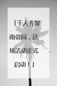 千人齐聚南公园，这场活动正式启动！