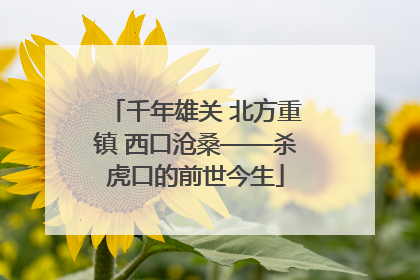 千年雄关 北方重镇 西口沧桑——杀虎口的前世今生