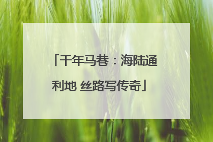 千年马巷：海陆通利地 丝路写传奇