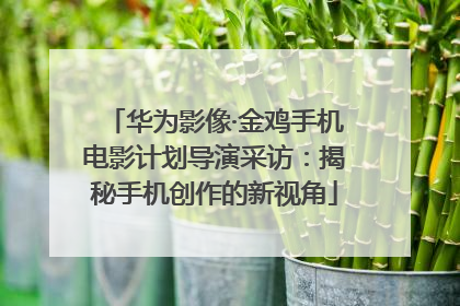 华为影像·金鸡手机电影计划导演采访：揭秘手机创作的新视角
