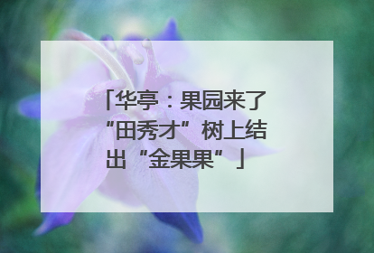 华亭：果园来了“田秀才”树上结出“金果果”