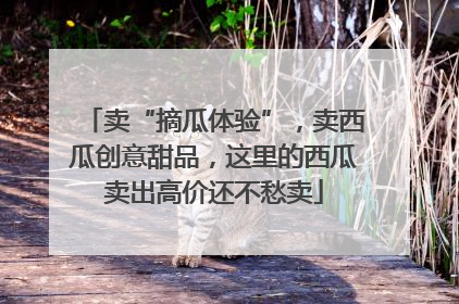 卖“摘瓜体验”，卖西瓜创意甜品，这里的西瓜卖出高价还不愁卖