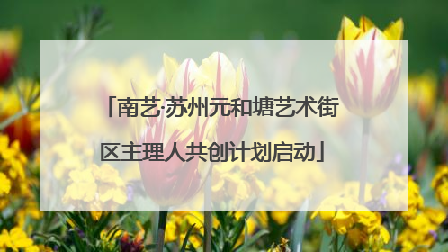 南艺·苏州元和塘艺术街区主理人共创计划启动