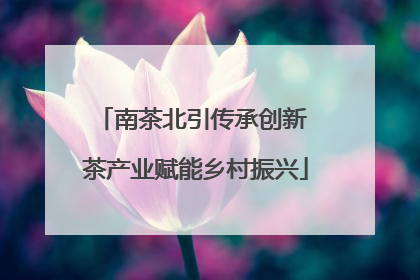 南茶北引传承创新 茶产业赋能乡村振兴