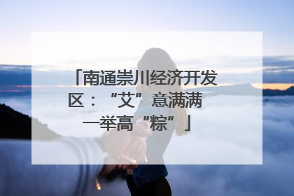 南通崇川经济开发区：“艾”意满满 一举高“粽”