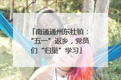 南通通州东社镇：“五一”返乡，党员们“归巢”学习