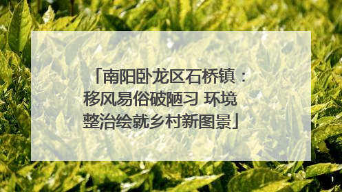 南阳卧龙区石桥镇：移风易俗破陋习 环境整治绘就乡村新图景