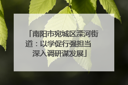 南阳市宛城区溧河街道：以学促行强担当 深入调研谋发展