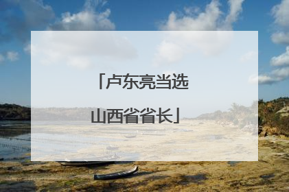 卢东亮当选山西省省长