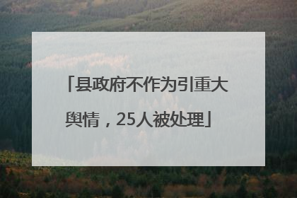 县政府不作为引重大舆情，25人被处理