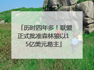 历时四年多！联盟正式批准森林狼以15亿美元易主