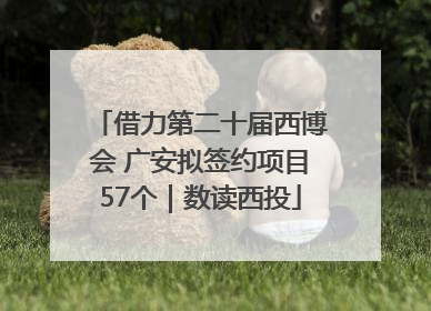 借力第二十届西博会 广安拟签约项目57个｜数读西投