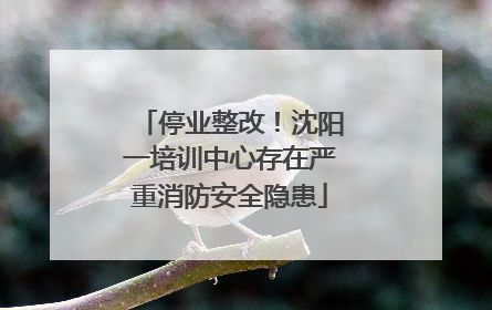 停业整改！沈阳一培训中心存在严重消防安全隐患