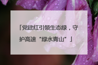 党建红引领生态绿，守护高速“绿水青山”
