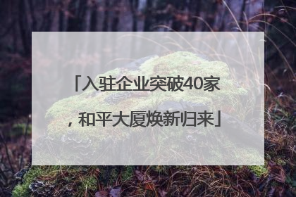 入驻企业突破40家，和平大厦焕新归来