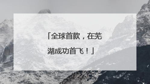 全球首款，在芜湖成功首飞！