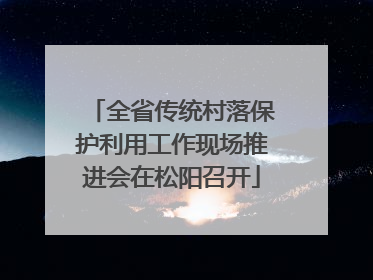 全省传统村落保护利用工作现场推进会在松阳召开