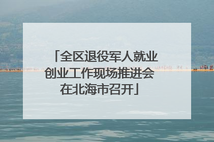 全区退役军人就业创业工作现场推进会在北海市召开