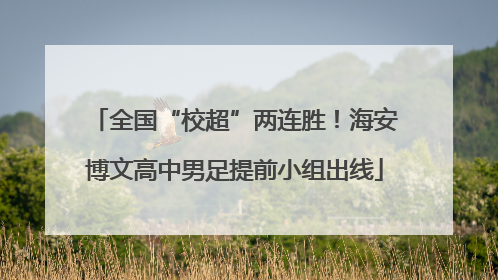 全国“校超”两连胜！海安博文高中男足提前小组出线
