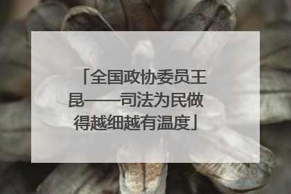 全国政协委员王昆——司法为民做得越细越有温度
