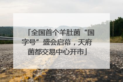 全国首个羊肚菌“国字号”盛会启幕，天府菌都交易中心开市