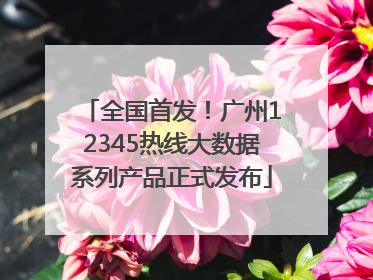 全国首发！广州12345热线大数据系列产品正式发布