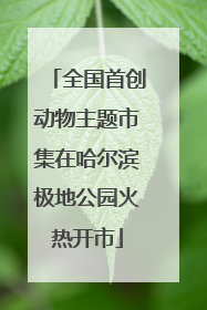全国首创动物主题市集在哈尔滨极地公园火热开市