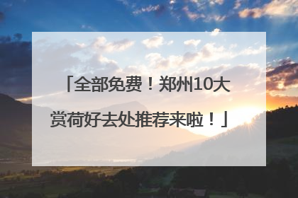 全部免费!郑州10大赏荷好去处推荐来啦!