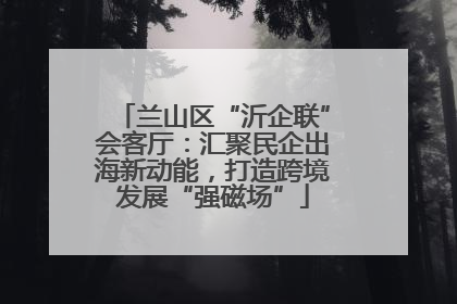 兰山区“沂企联”会客厅：汇聚民企出海新动能，打造跨境发展“强磁场”