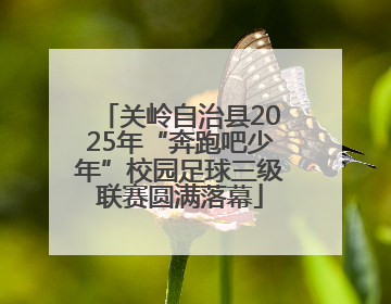 关岭自治县2025年“奔跑吧少年”校园足球三级联赛圆满落幕