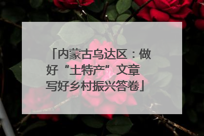 内蒙古乌达区：做好“土特产”文章 写好乡村振兴答卷