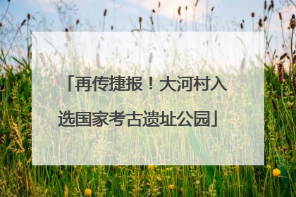 再传捷报！大河村入选国家考古遗址公园