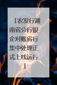 农发行湖南省分行银企对账省行集中处理正式上线运行