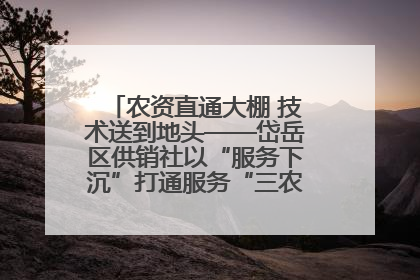 农资直通大棚 技术送到地头——岱岳区供销社以“服务下沉”打通服务“三农”最后一公里