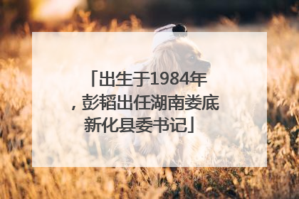 出生于1984年，彭韬出任湖南娄底新化县委书记