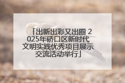 出新出彩又出圈 2025年硚口区新时代文明实践优秀项目展示交流活动举行