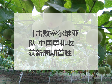 击败塞尔维亚队 中国男排收获新周期首胜