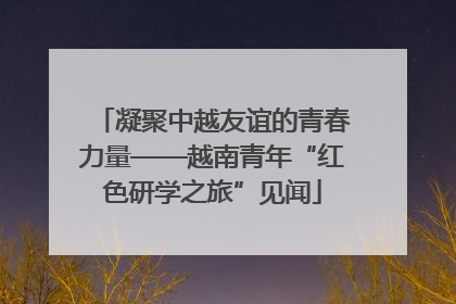 凝聚中越友谊的青春力量——越南青年“红色研学之旅”见闻