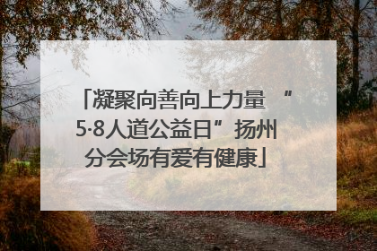 凝聚向善向上力量 “5·8人道公益日”扬州分会场有爱有健康