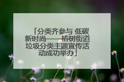 分类齐参与 低碳新时尚——椿树街道垃圾分类主题宣传活动成功举办