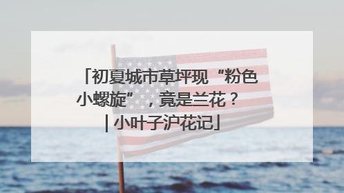 初夏城市草坪现“粉色小螺旋”，竟是兰花？ | 小叶子沪花记